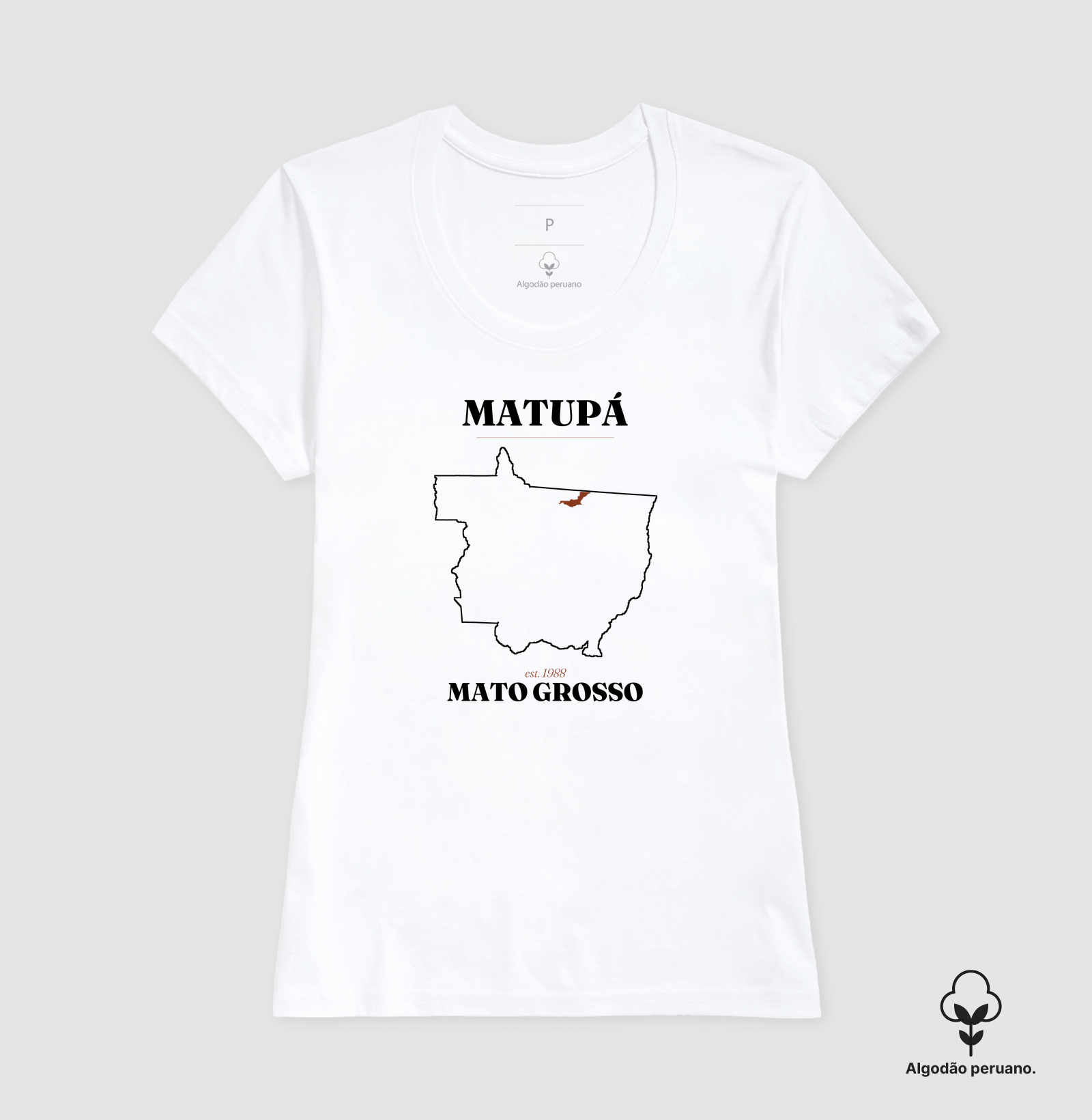 Matupá | Legado MT - Imagem 8