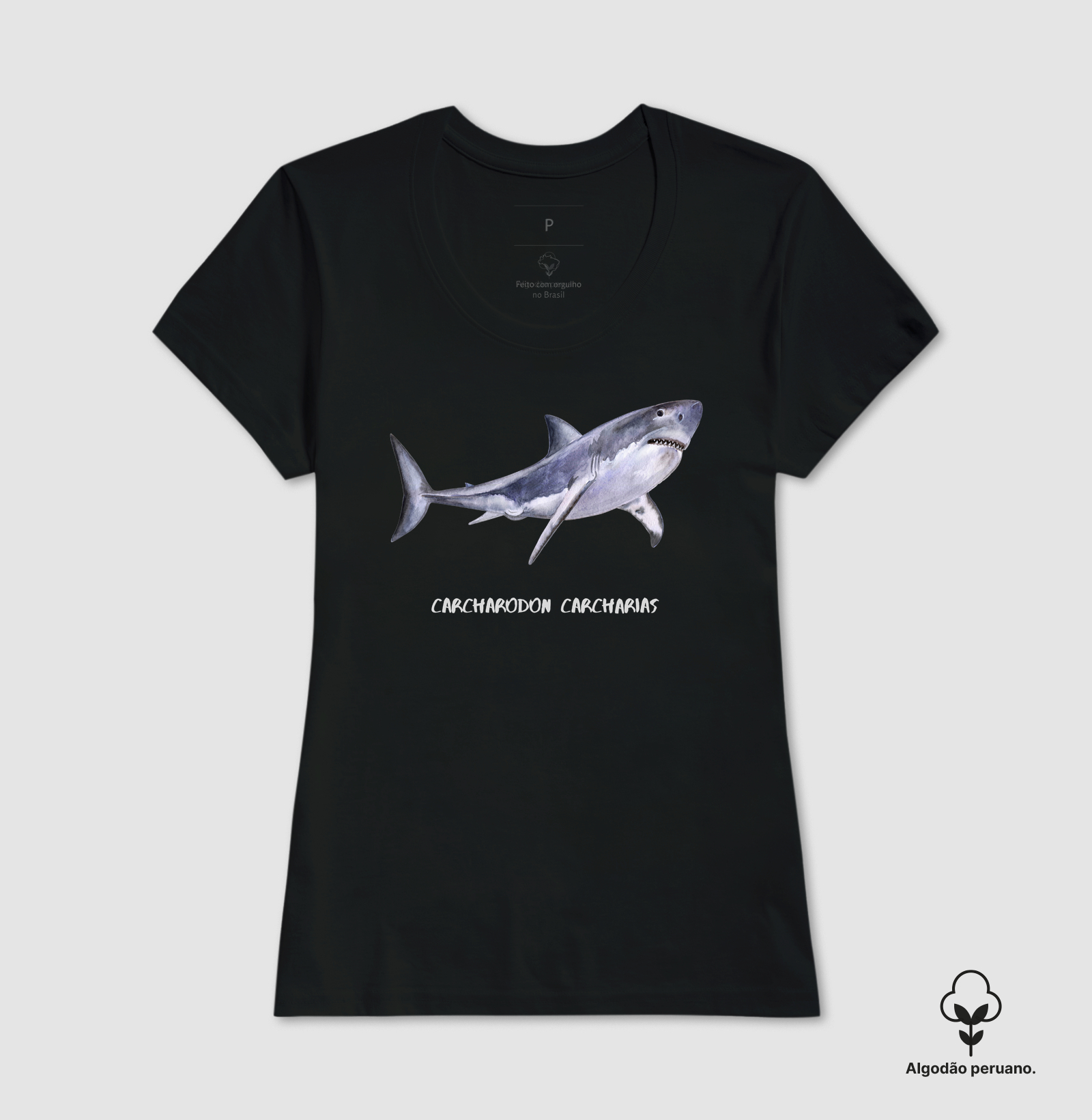 Carcharodon carcharias - Imagem 14