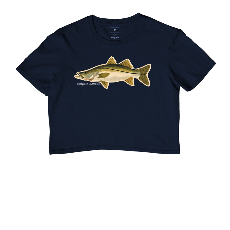 Robalo - Imagem 4