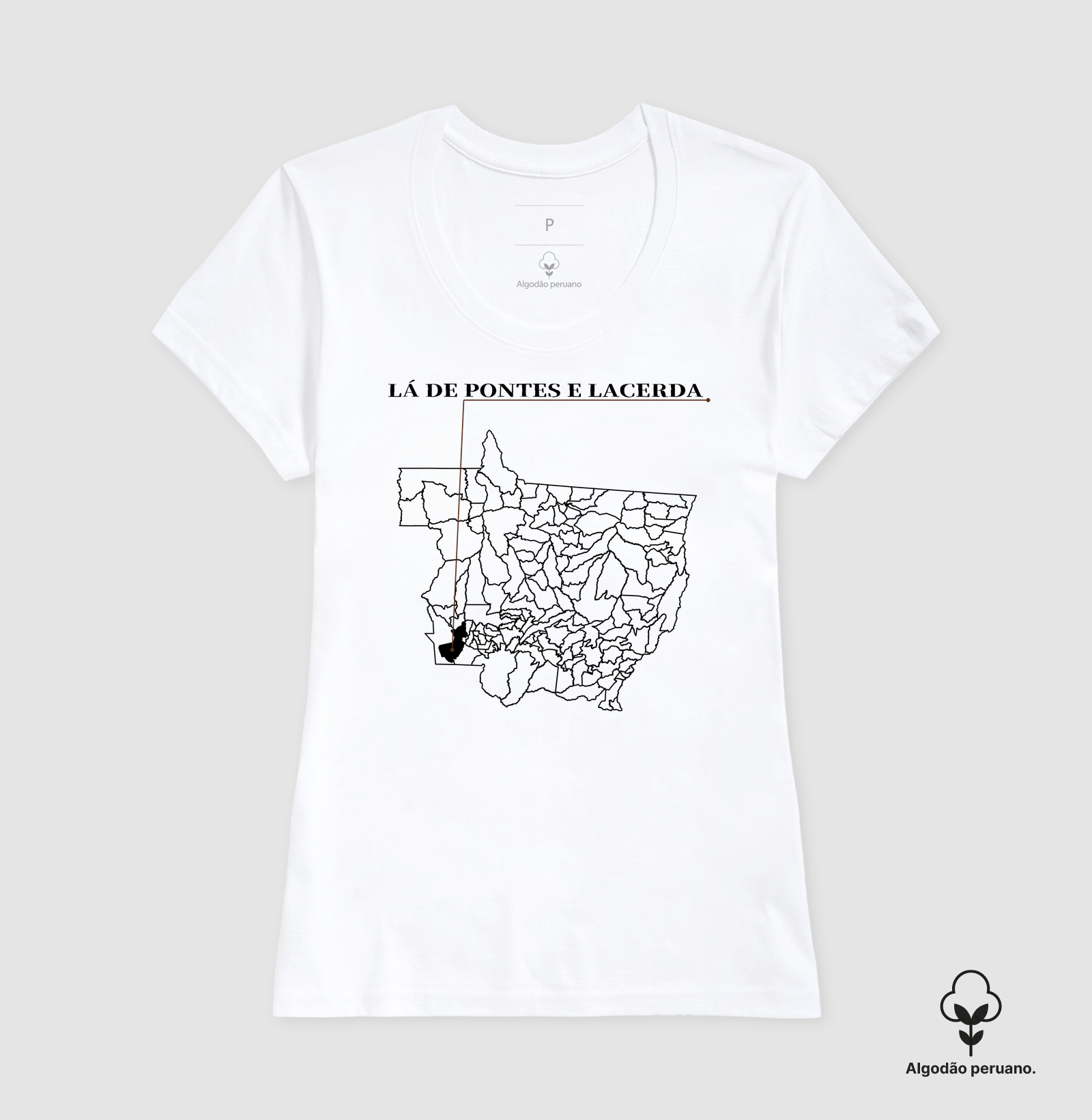 Pontes e Lacerda | Origem MT - Imagem 6