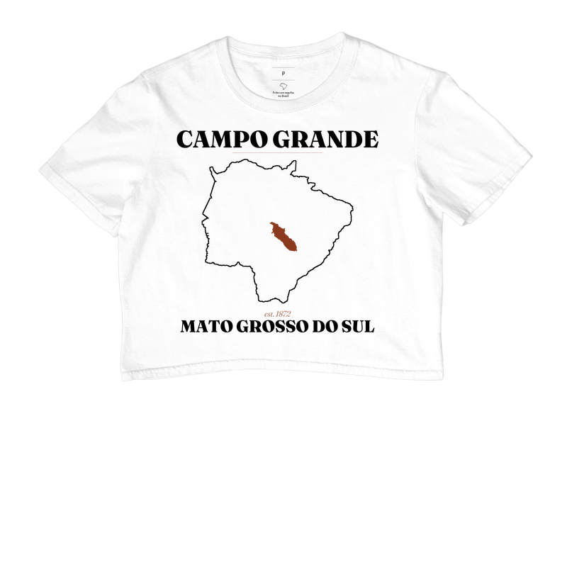 Campo Grande | Legado MS - Imagem 3