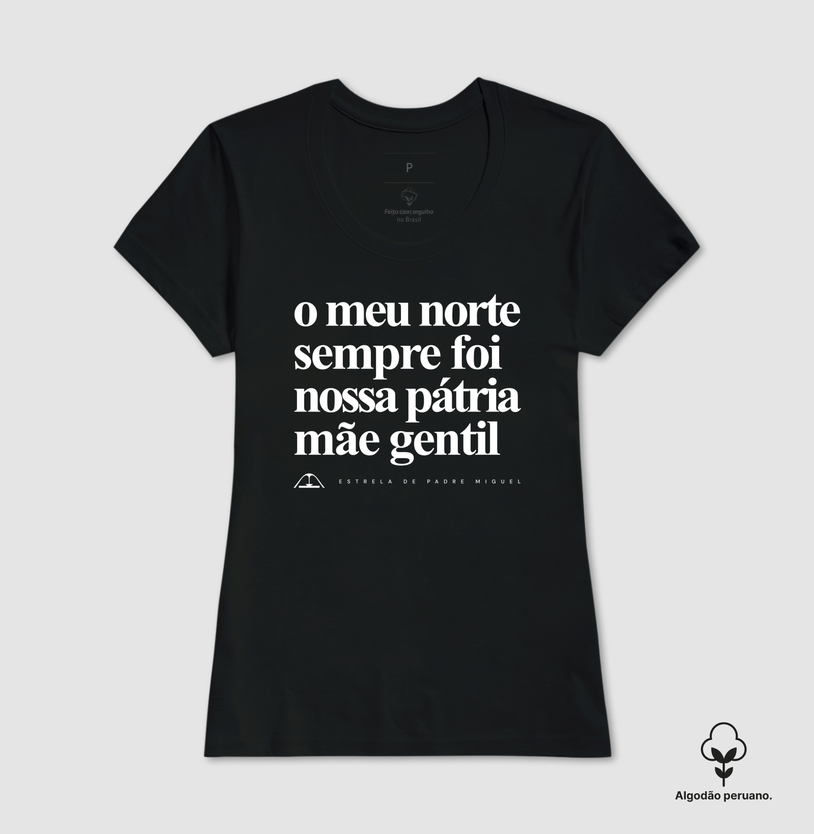 O meu norte sempre foi nossa pátria mãe gentil - Imagem 7