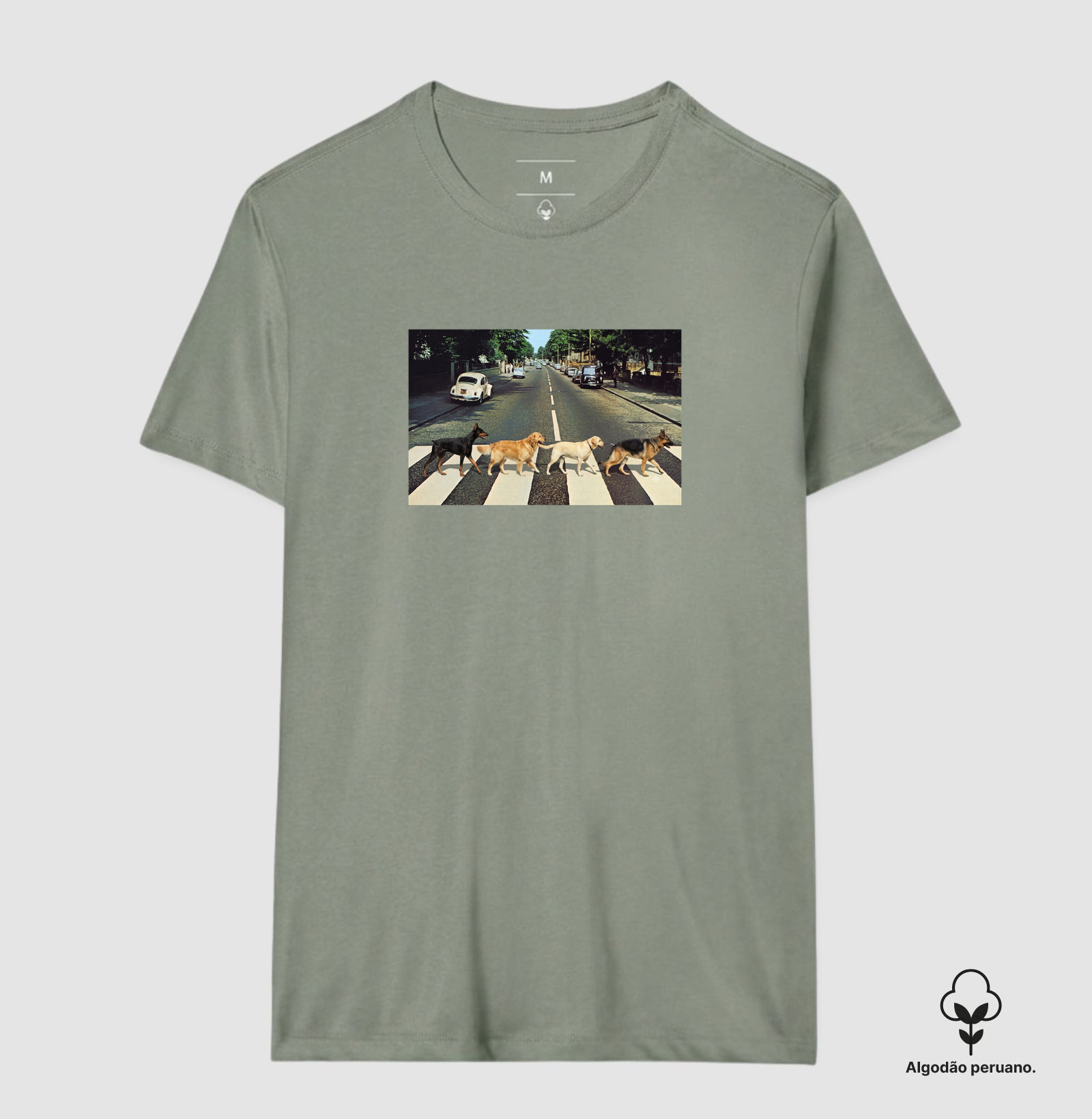 Camisa 7