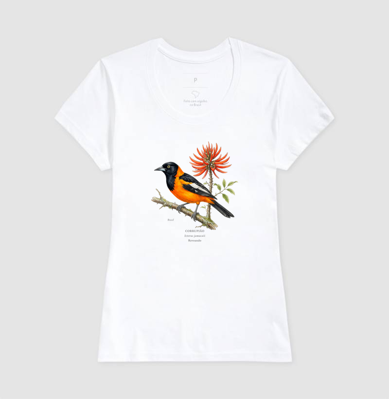 Naturalistas - Corrupião - Imagem 7