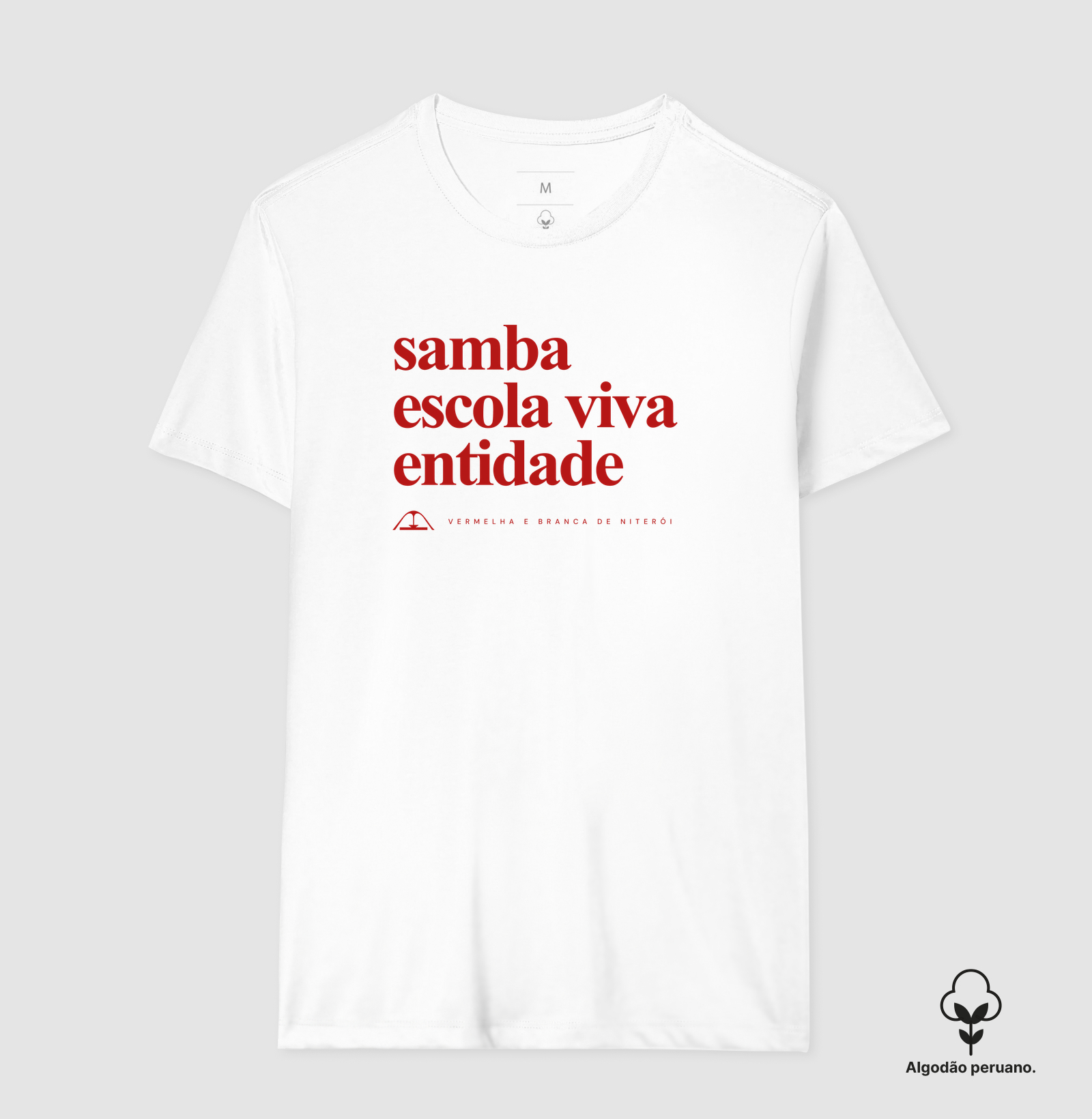 Samba escola viva entidade - Imagem 9