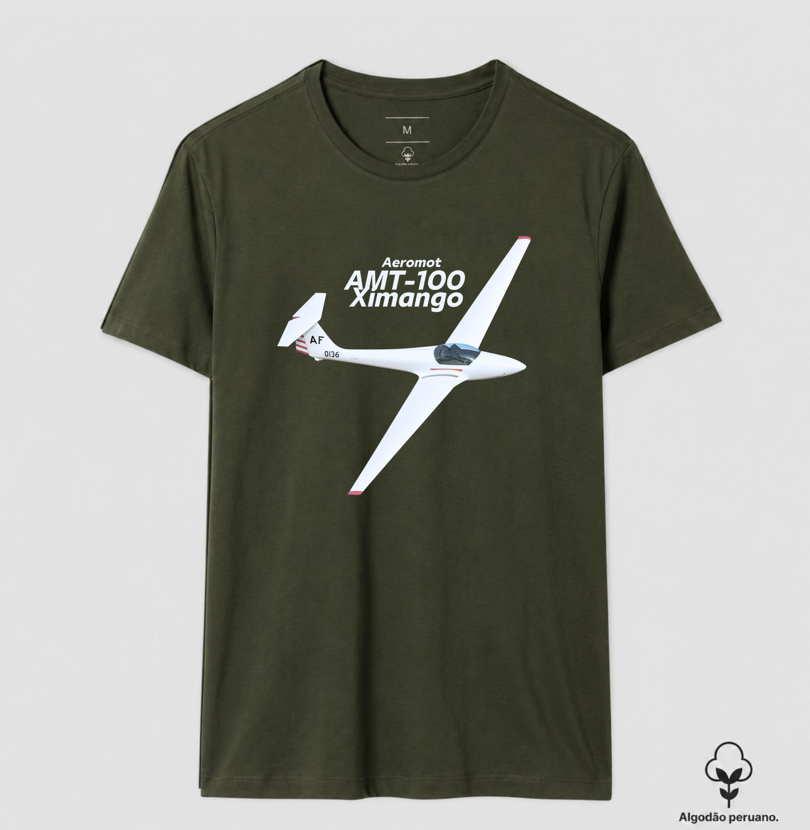 Planador - EMB-400  Ximango Aeromot - Imagem 6