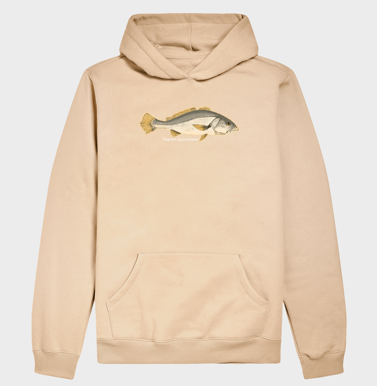 🎣 Corvina 🐟 - Imagem 5