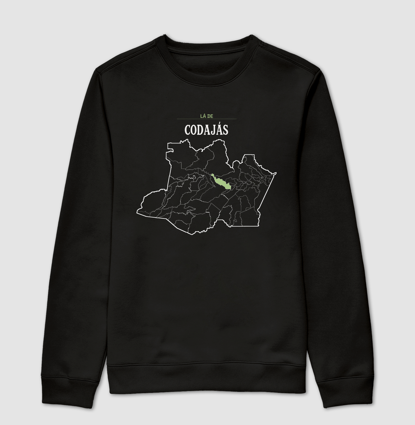 Codajás | Território AM - Imagem 4