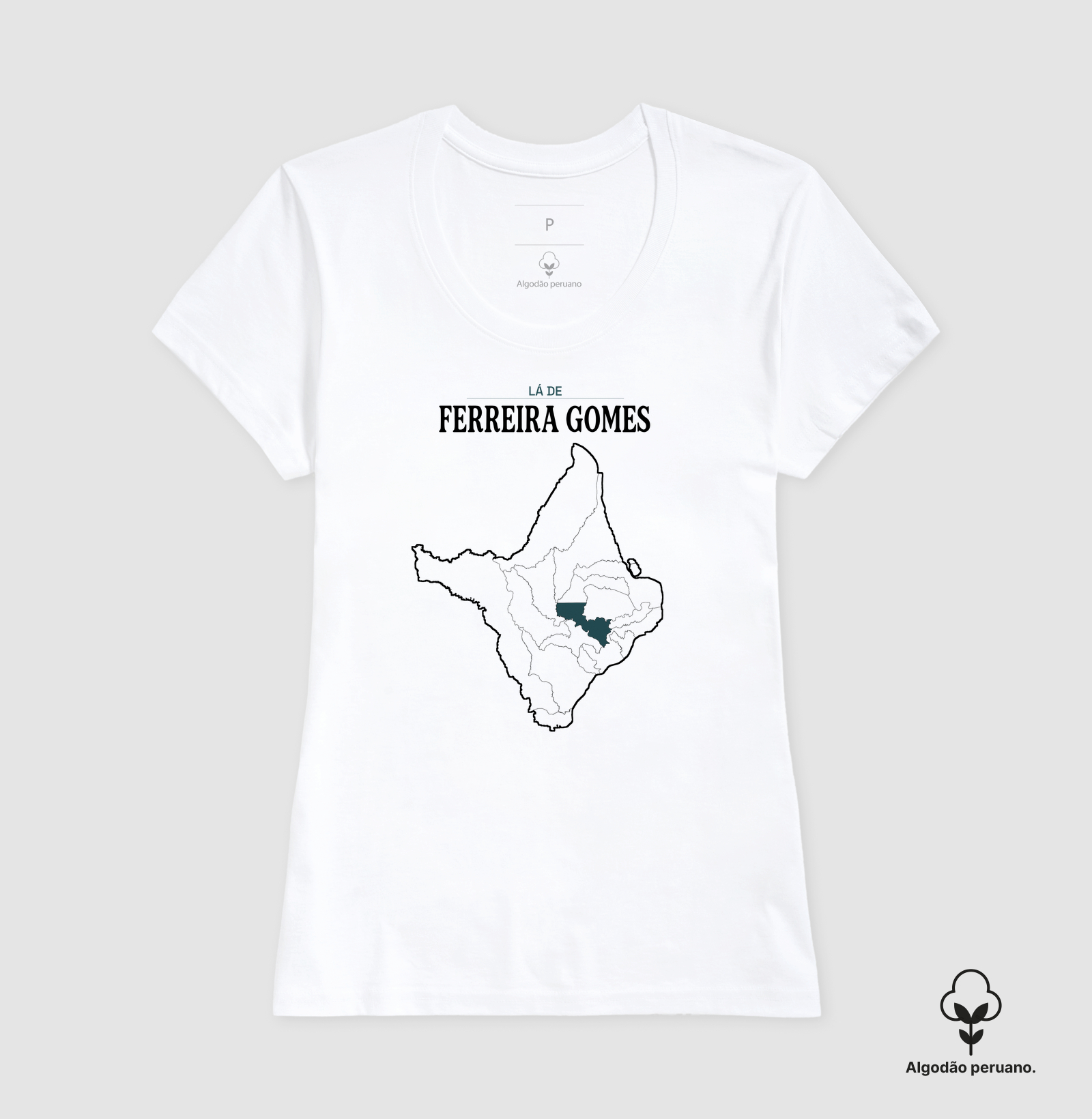 Ferreira Gomes | Território AP - Imagem 6
