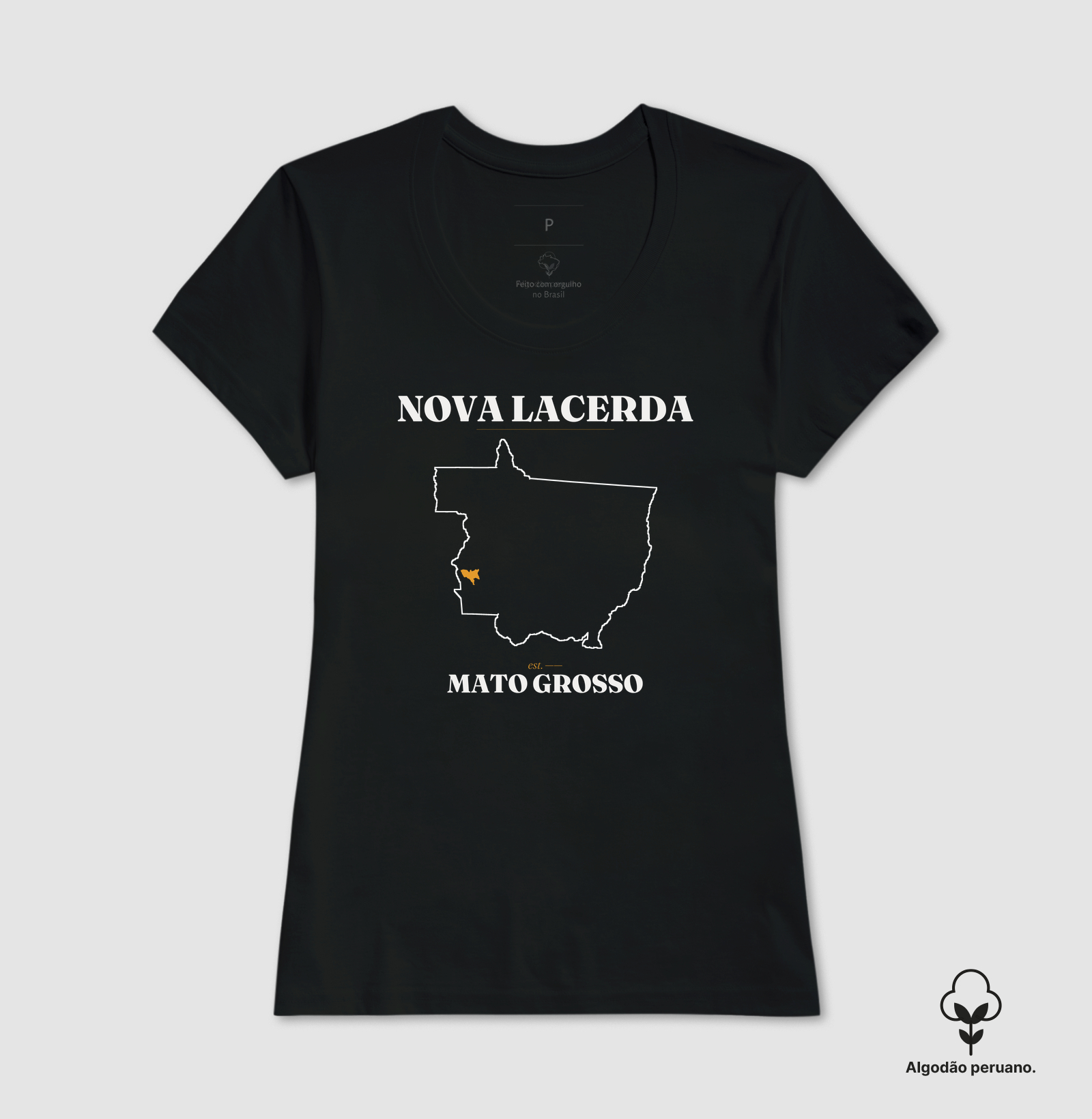 Nova Lacerda | Legado MT - Imagem 5