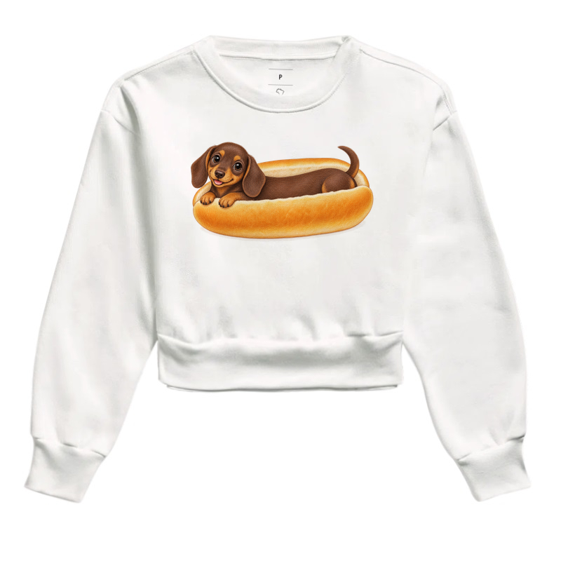 Dachshund Salsicha - Imagem 3