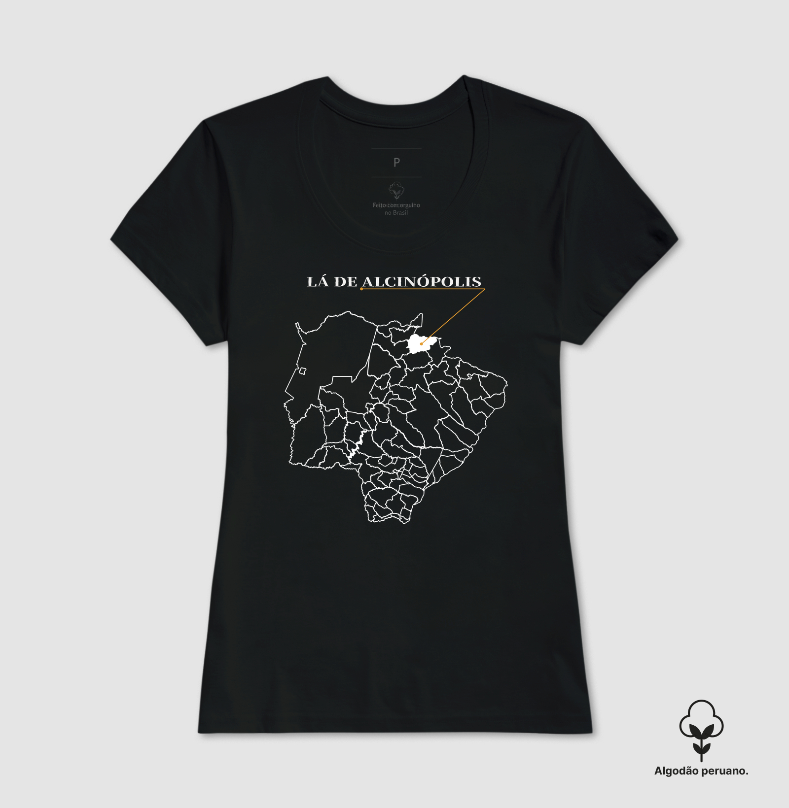 Alcinópolis | Origem MS - Imagem 4