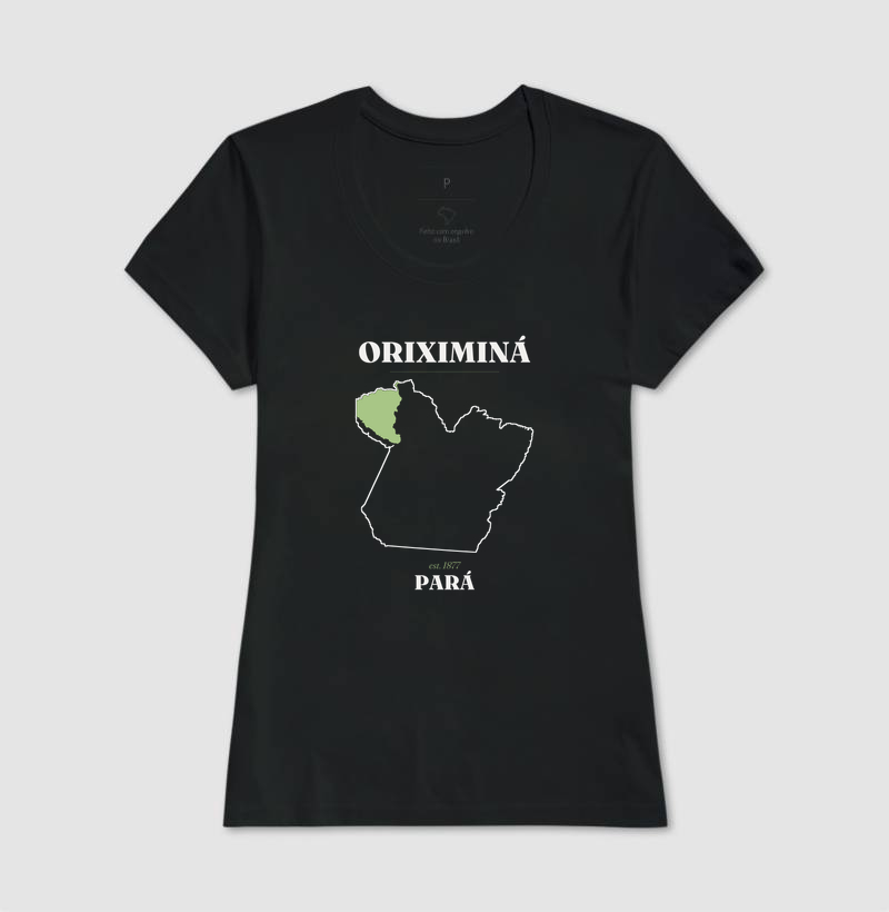 Oriximiná | Legado PA - Imagem 3
