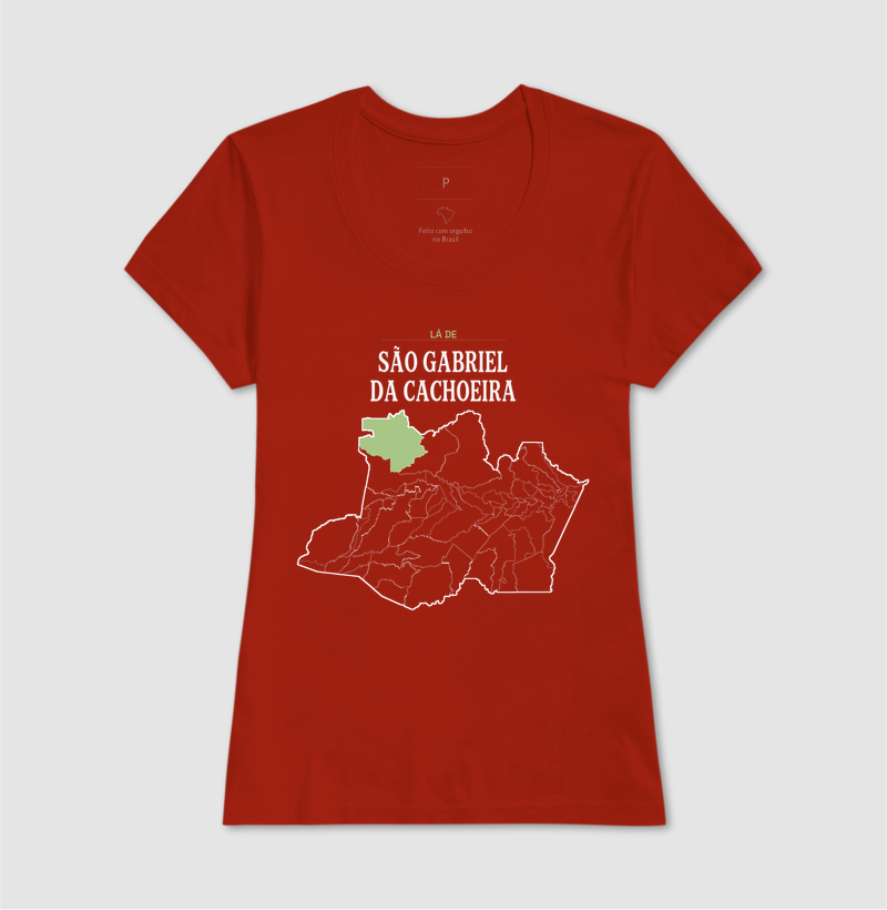 São Gabriel da Cachoeira | Território AM - Imagem 11