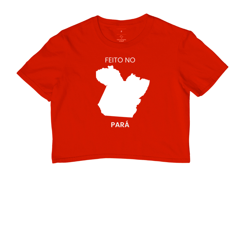 Feito no Pará - Imagem 7