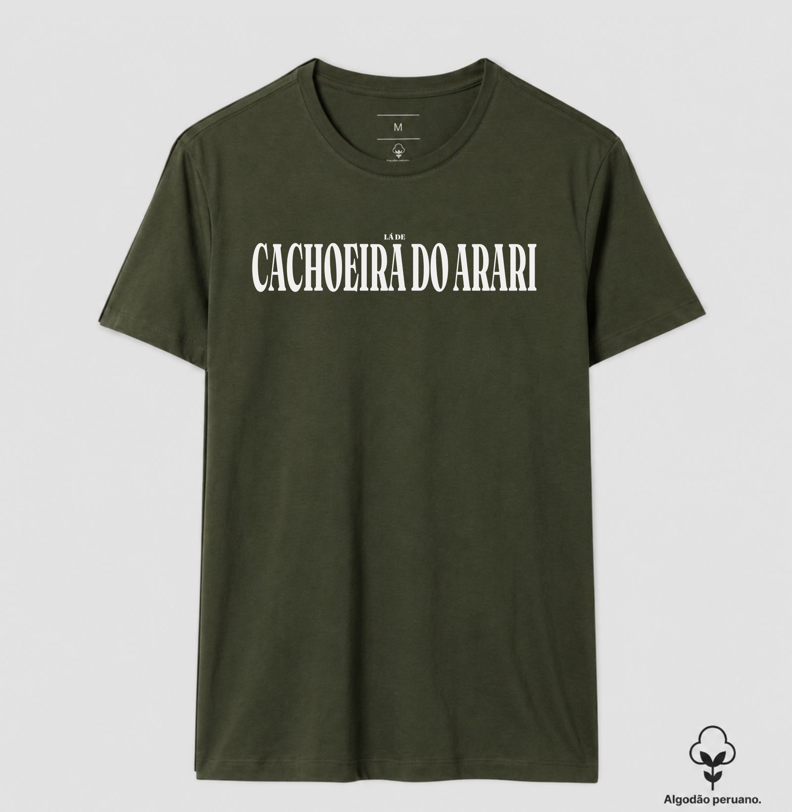 Cachoeira do Arari | Tipografia PA - Imagem 3
