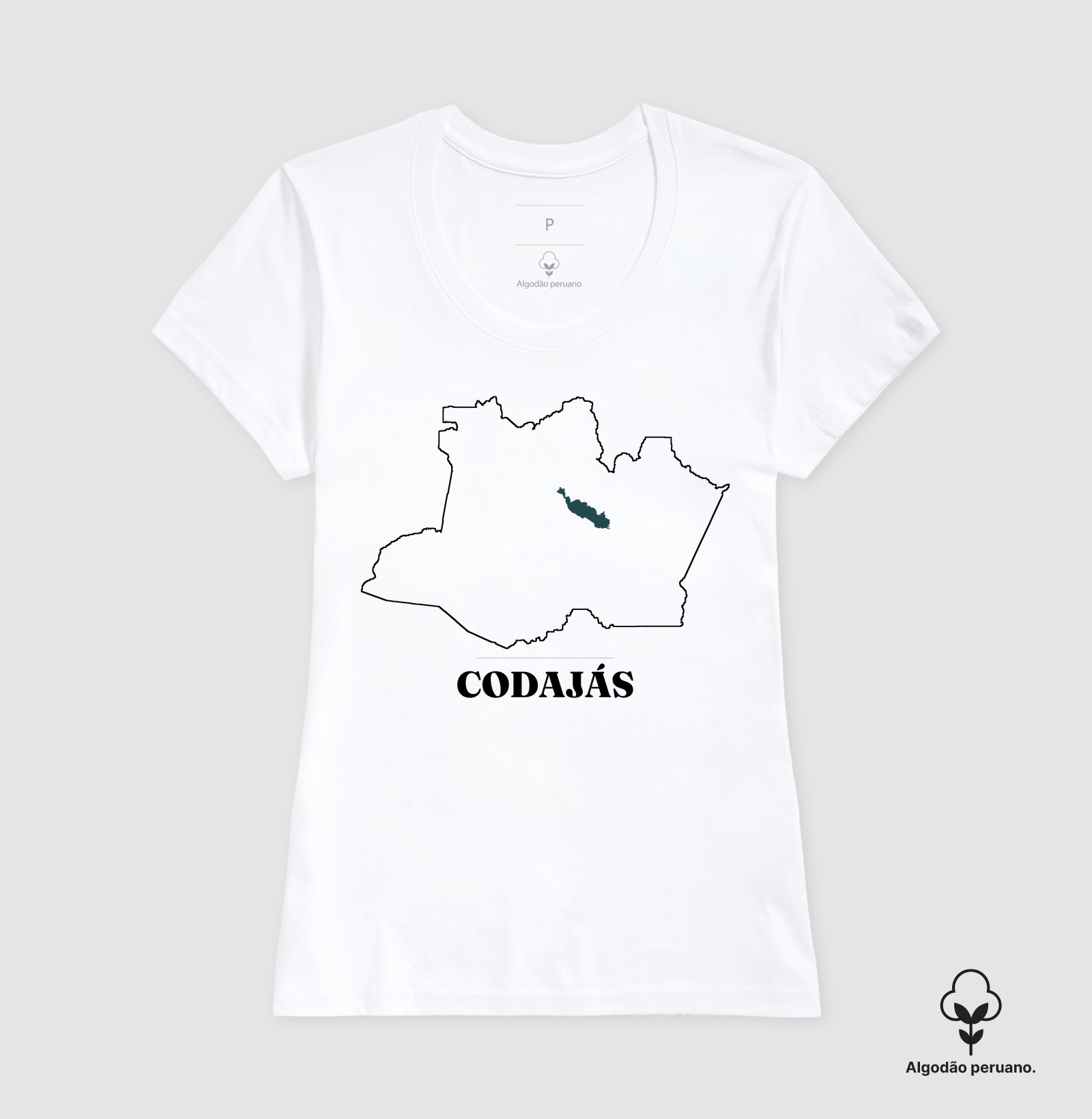 Codajás | Traço AM - Imagem 7