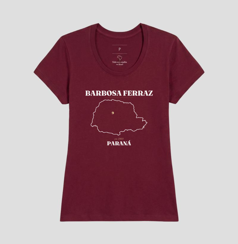 Barbosa Ferraz | Legado PR - Imagem 19