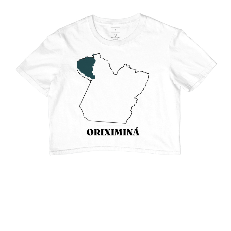 Oriximiná | Traço PA - Imagem 3