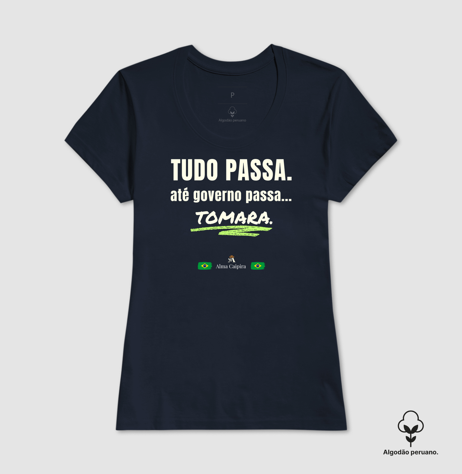 Tudo passa, até governo passa... tomara - Imagem 7