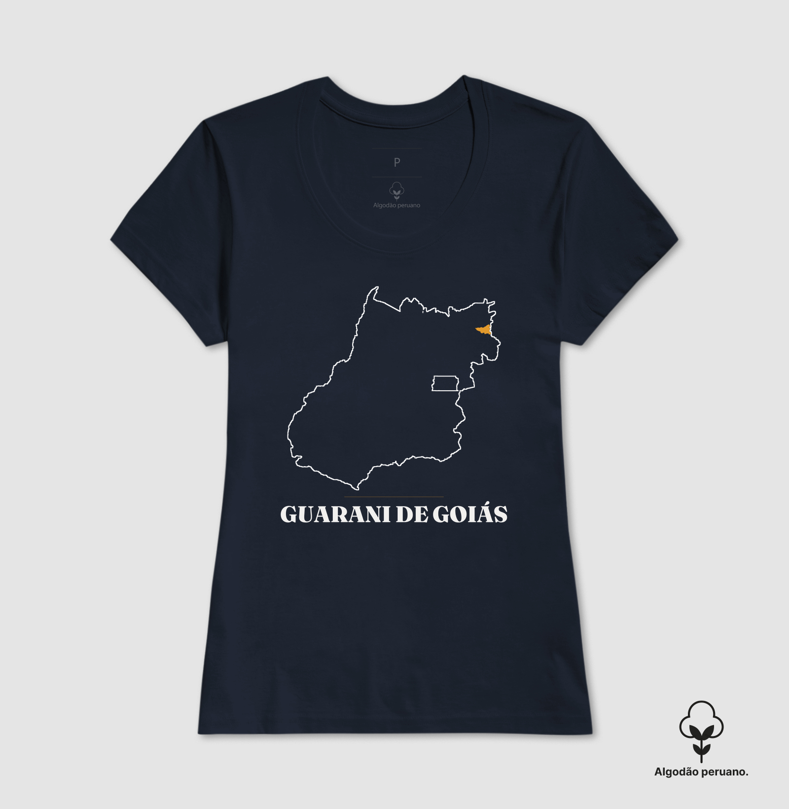 Guarani de Goiás | Traço GO - Imagem 8
