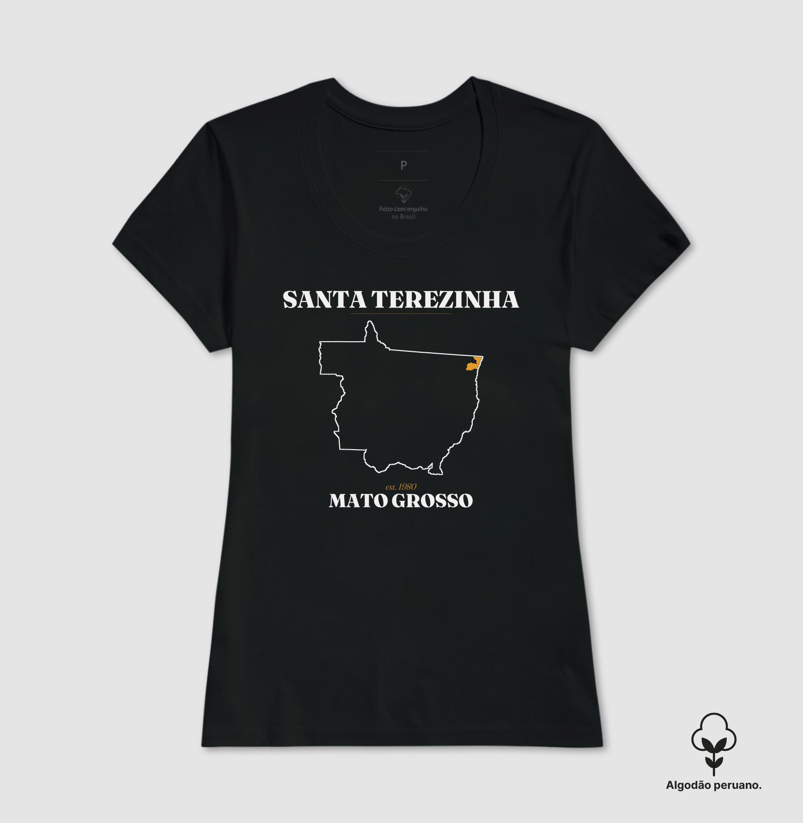 Santa Terezinha | Legado MT - Imagem 6