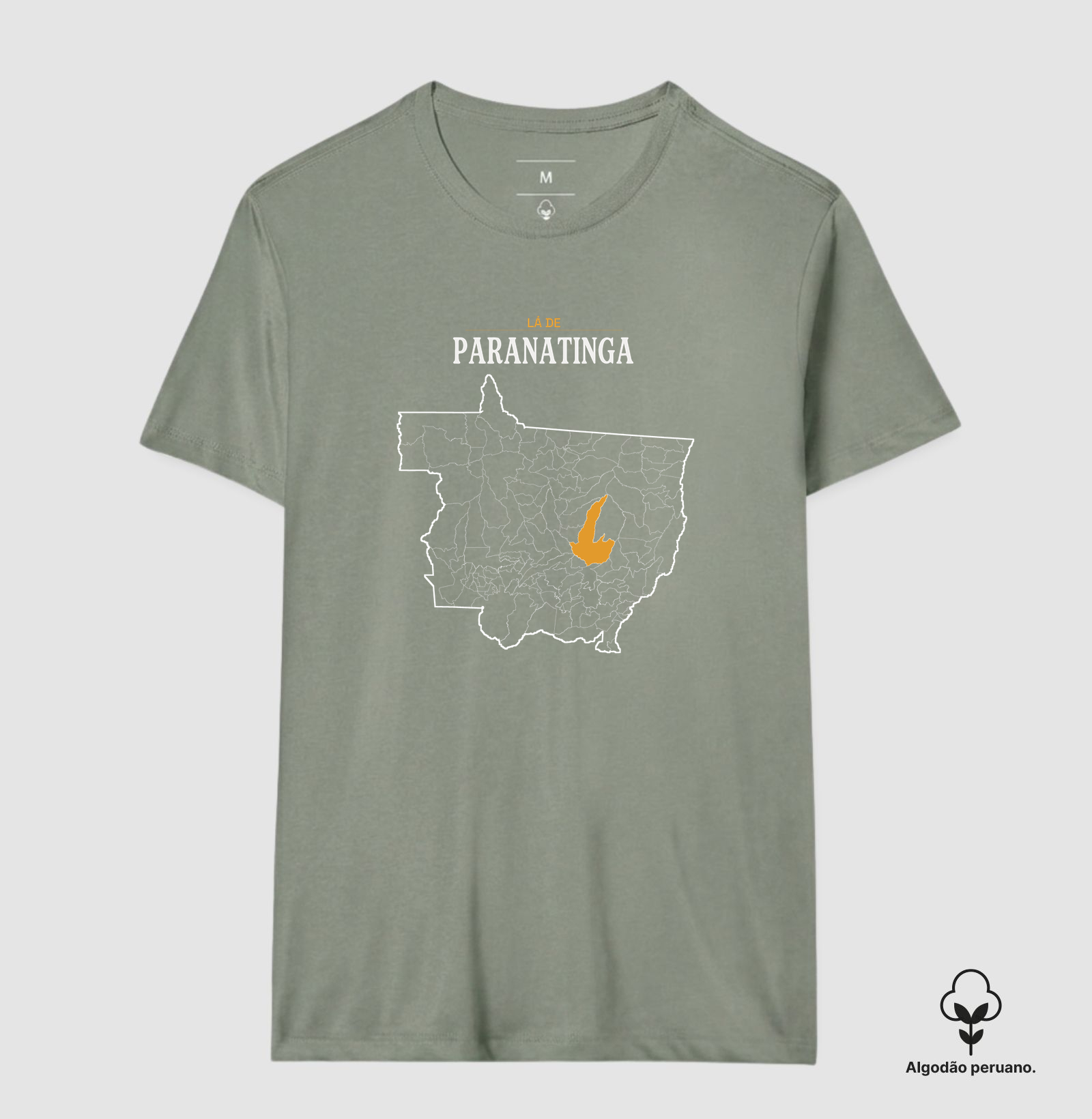 Paranatinga | Território MT - Imagem 2
