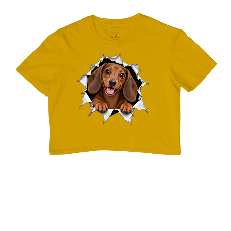 Dachshund Saindo Pelo Rasgo - Imagem 8