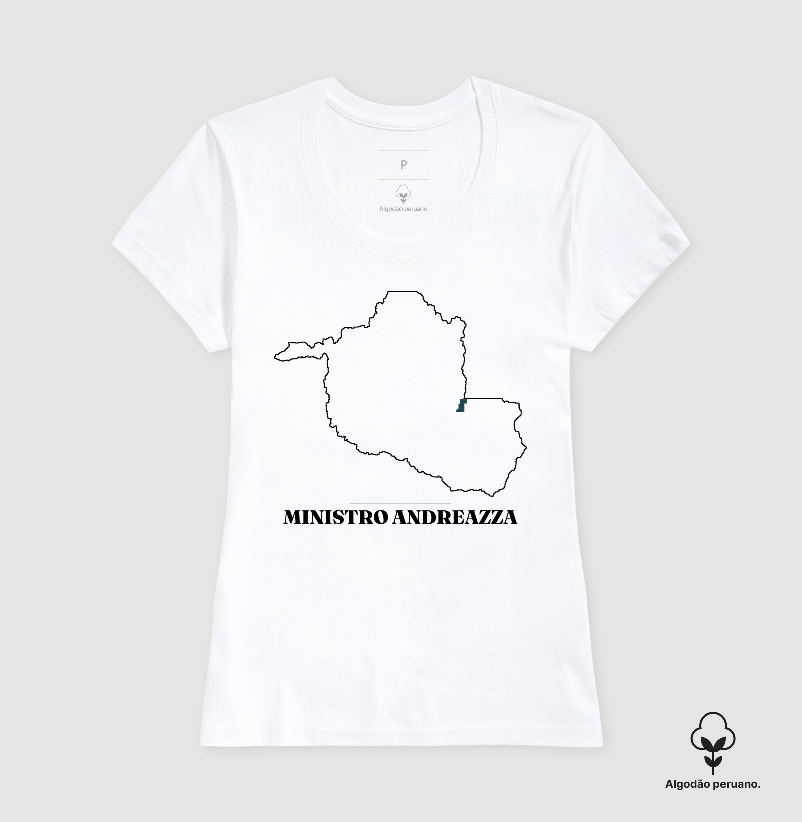 Ministro Andreazza | Traço RO - Imagem 3
