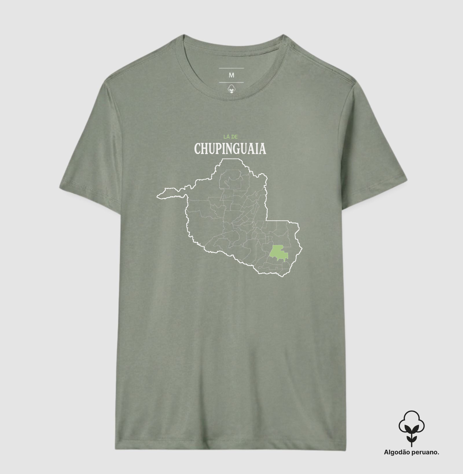 Chupinguaia | Território RO - Imagem 9
