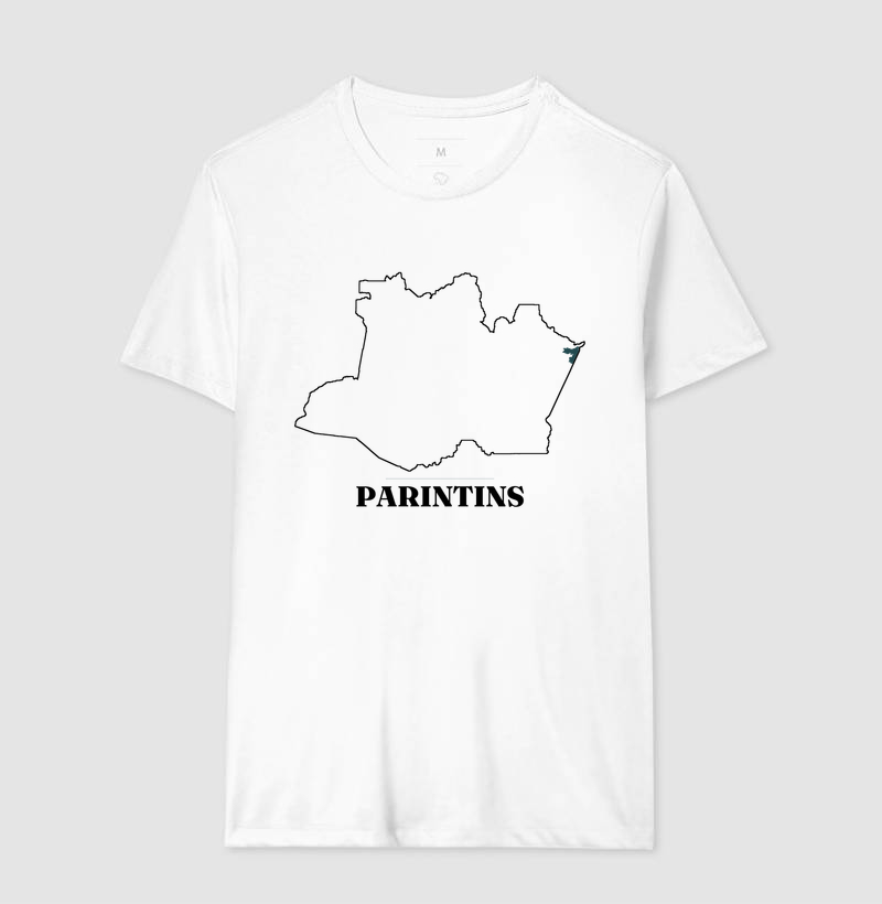 Parintins | Traço AM - Imagem 4
