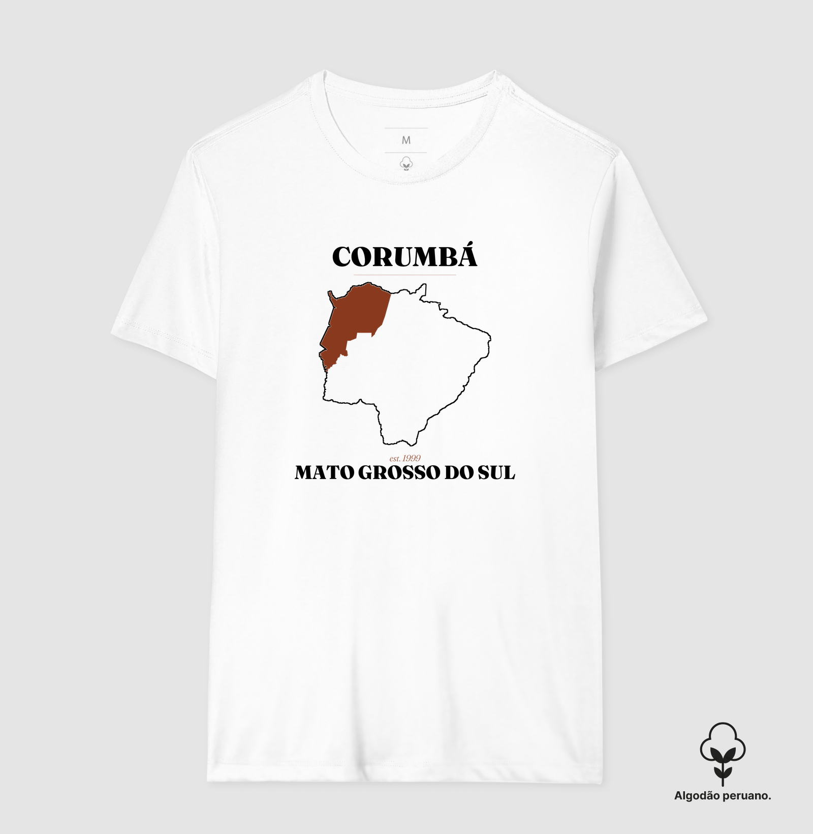 Corumbá | Legado MS - Imagem 4