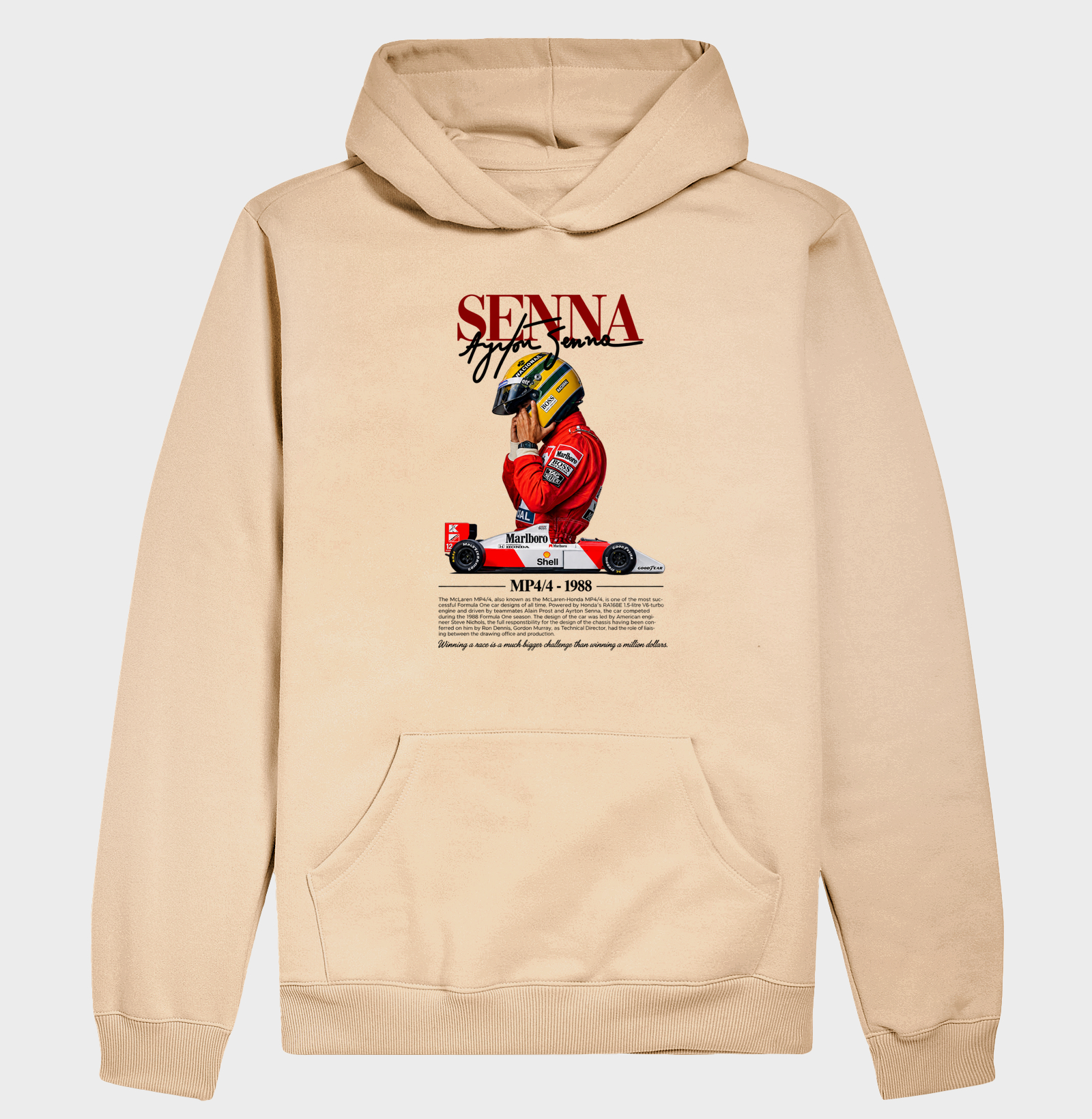 Senna MP4/4 - Imagem 5