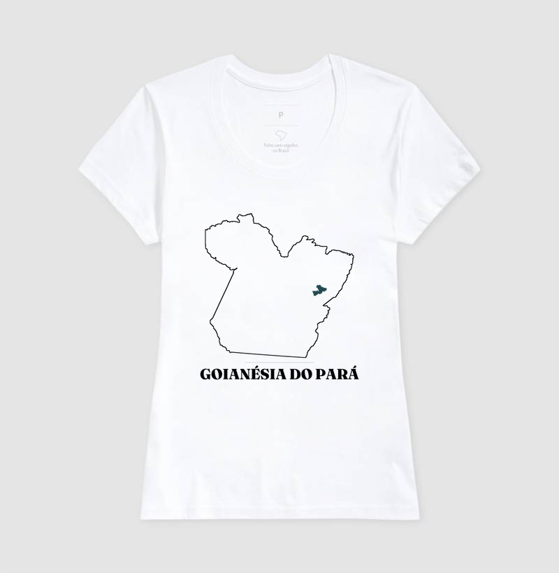 Goianésia do Pará | Traço PA - Imagem 5