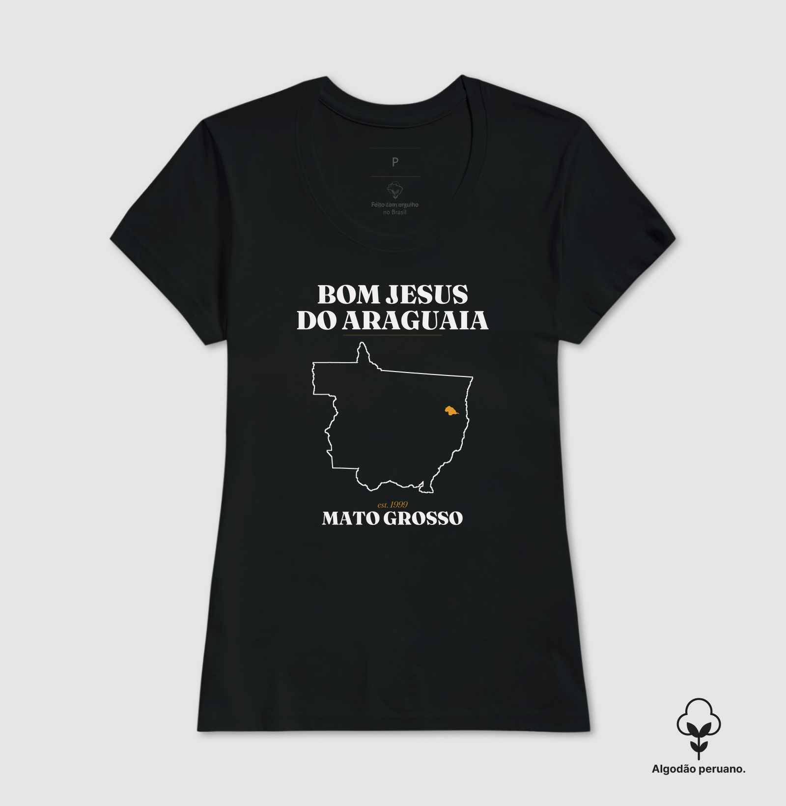 Bom Jesus do Araguaia | Legado MT - Imagem 7