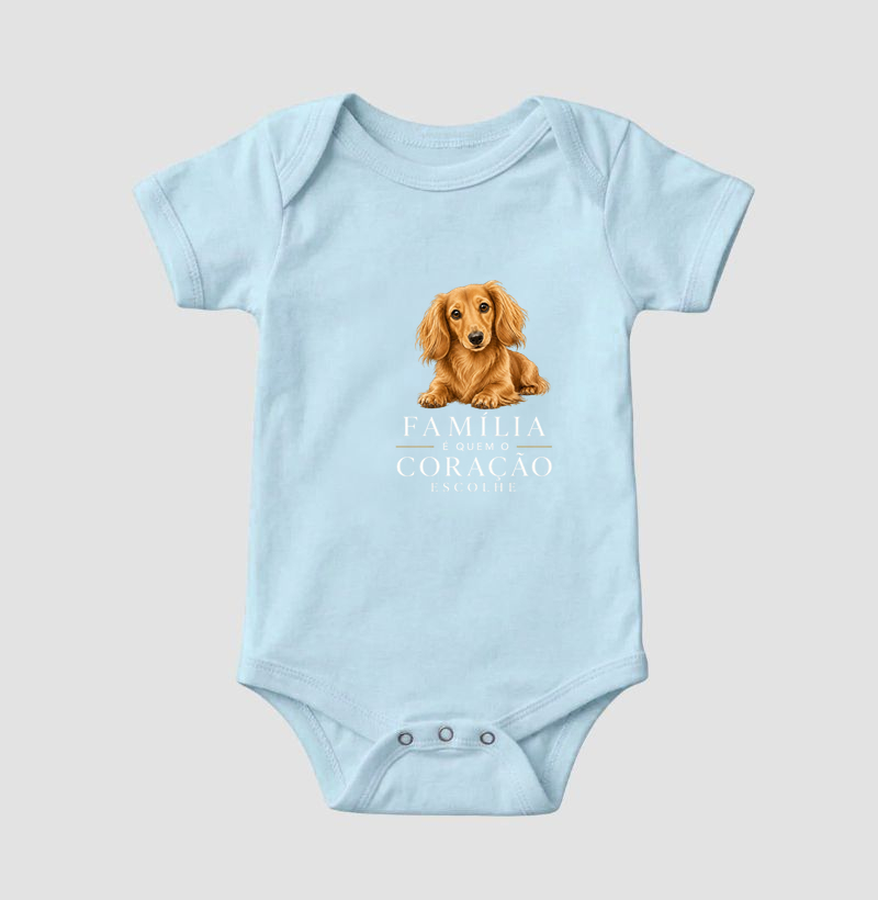 Dachshund Pelo Longo - Família - Imagem 4