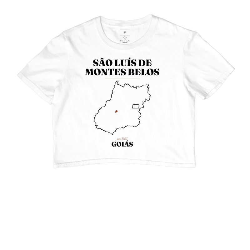 São Luís de Montes Belos | Legado GO - Imagem 3