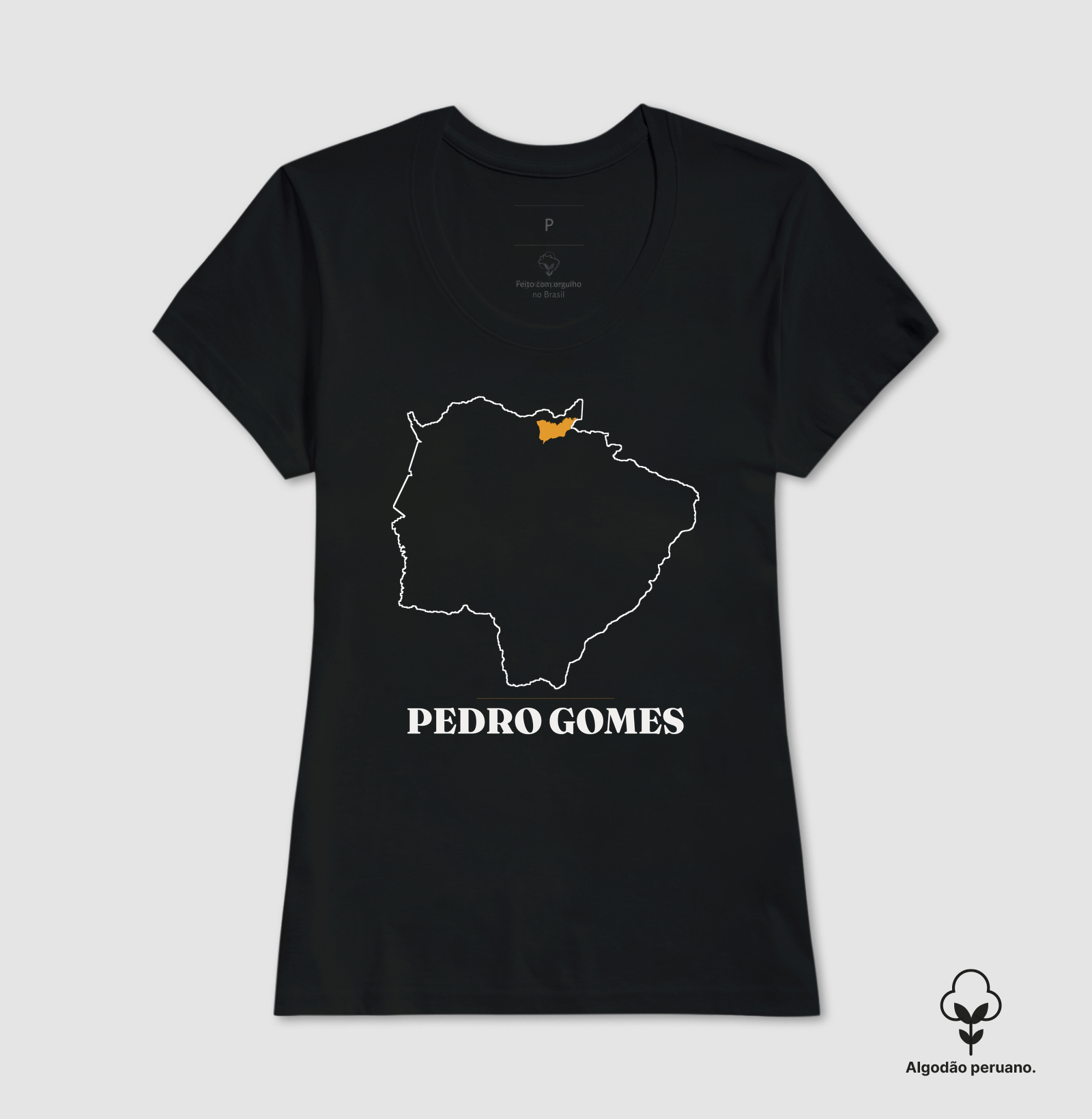 Pedro Gomes | Traço MS - Imagem 6