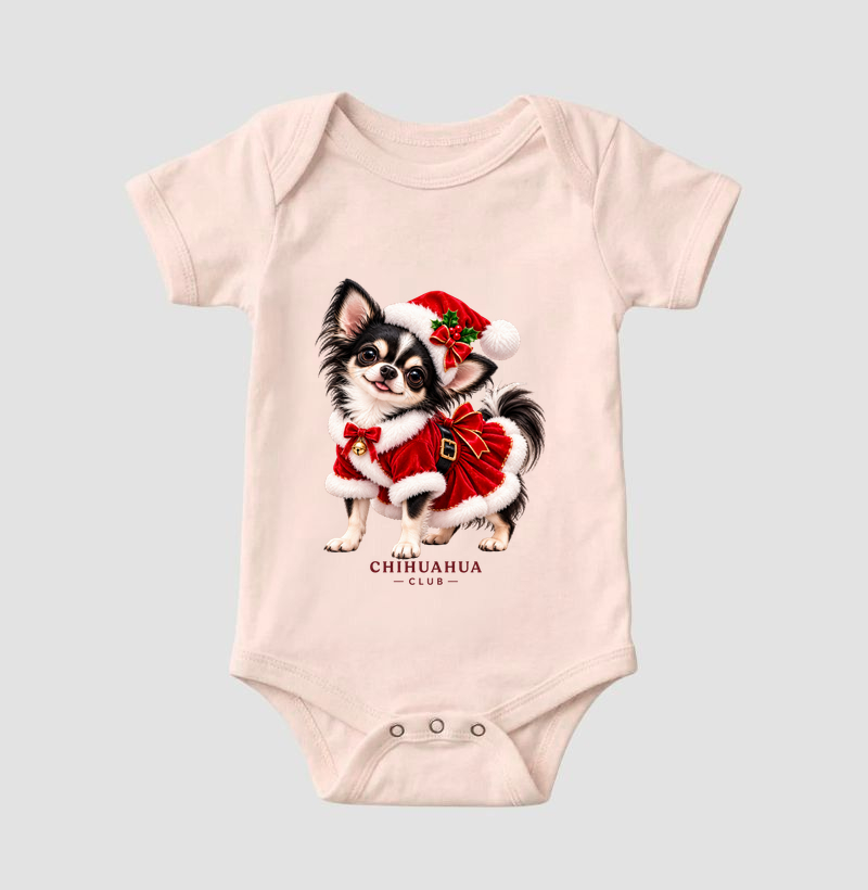 Chihuahua Noel  - Imagem 5