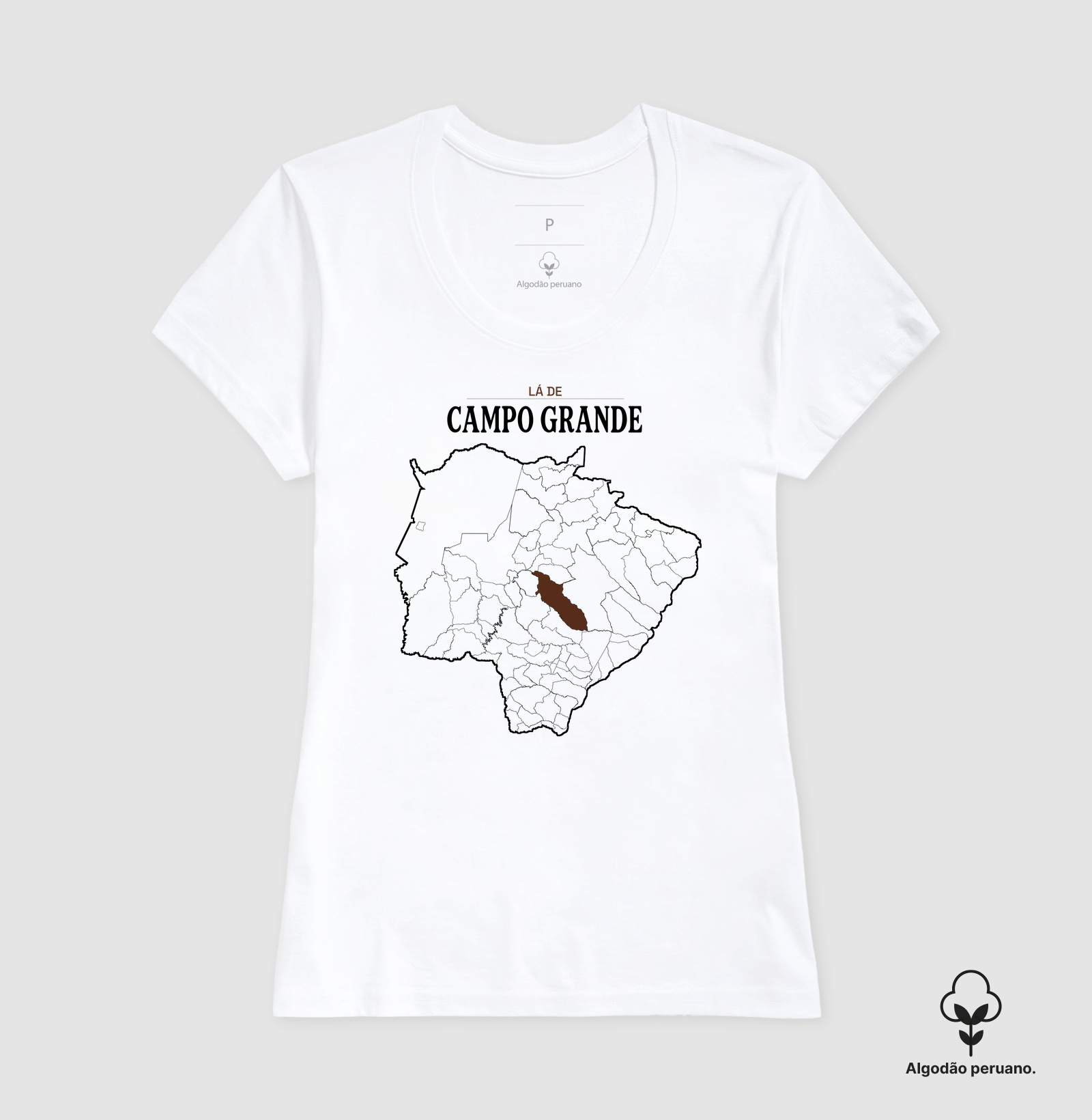 Campo Grande | Território MS - Imagem 9