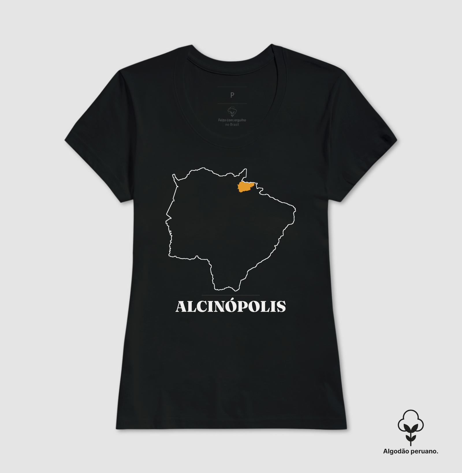 Alcinópolis | Traço MS - Imagem 3