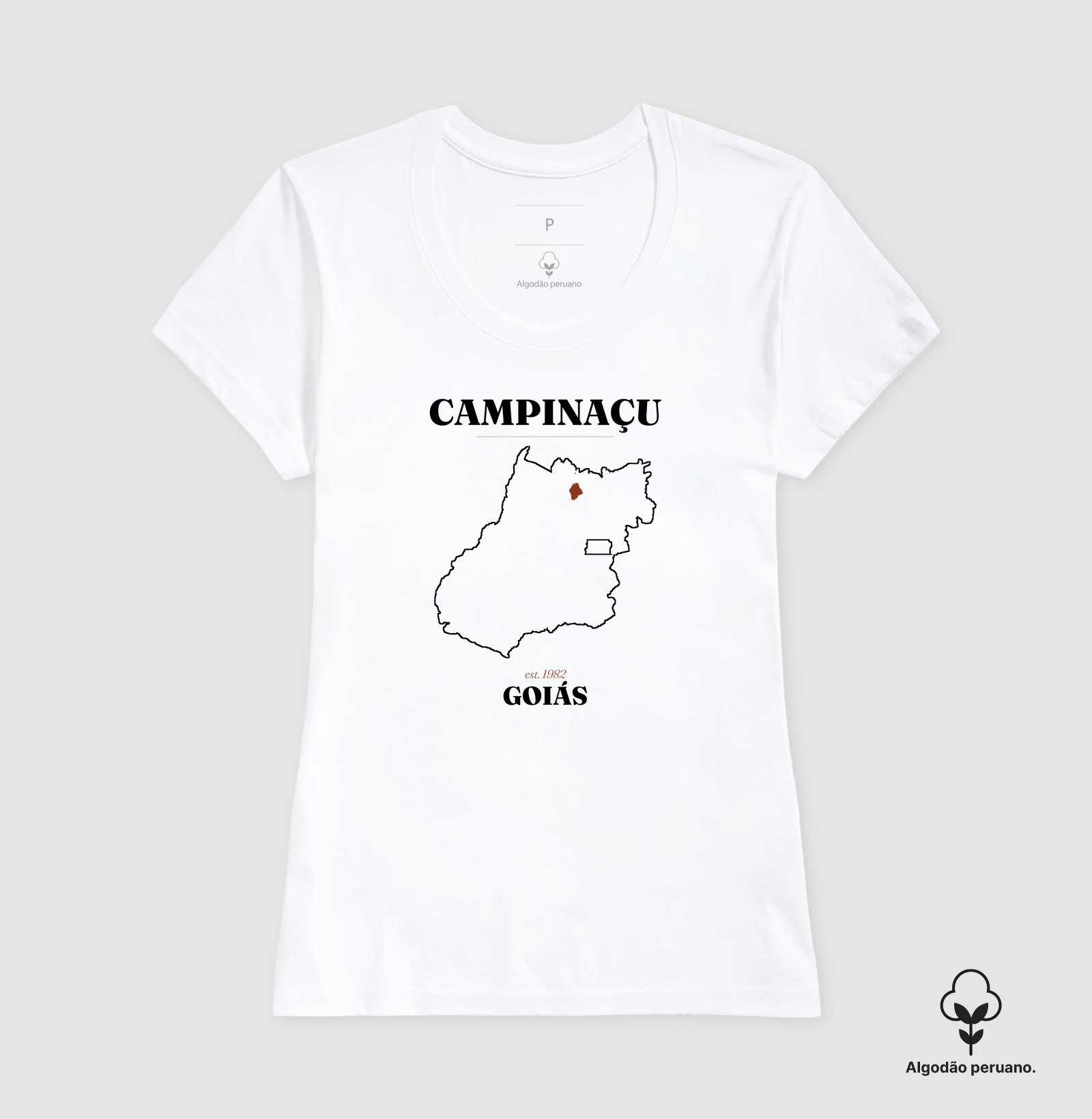 Campinaçu | Legado GO - Imagem 5