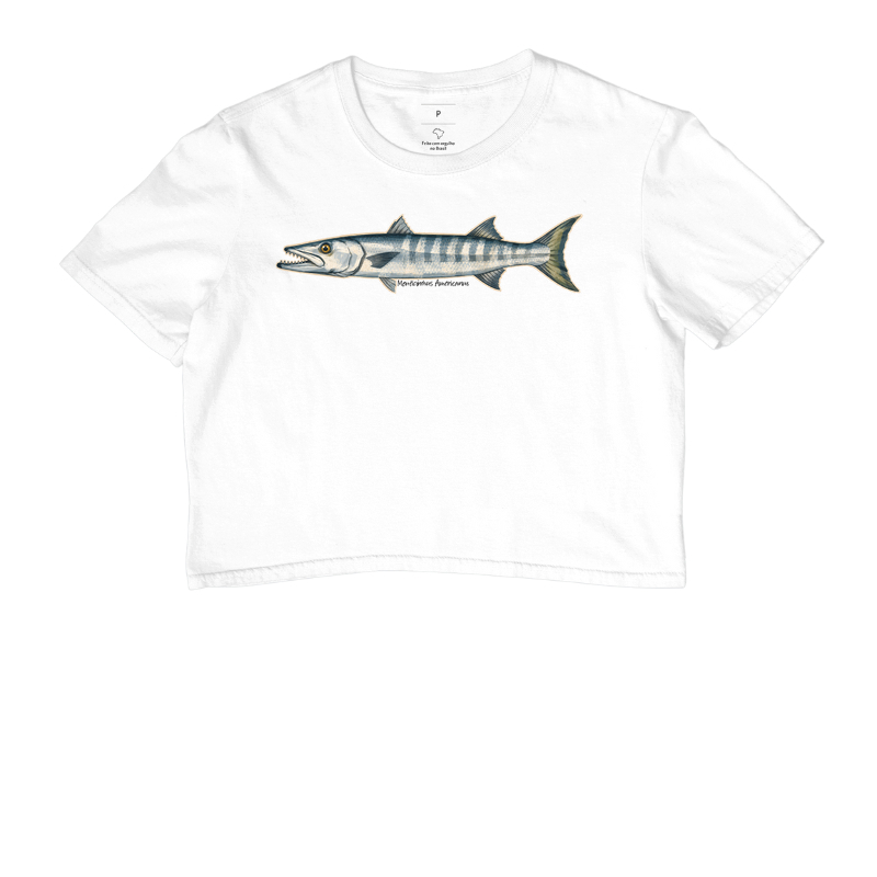 Barracuda - Imagem 3