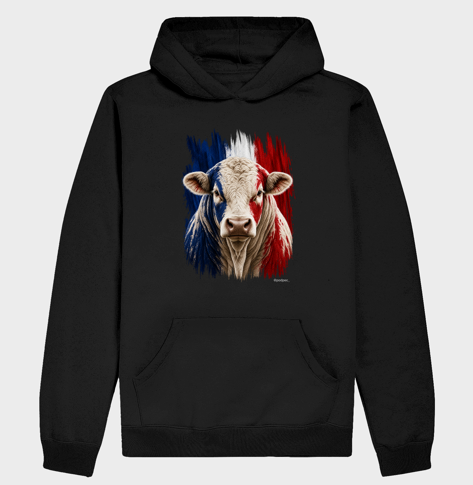Charolês da França - Imagem 2