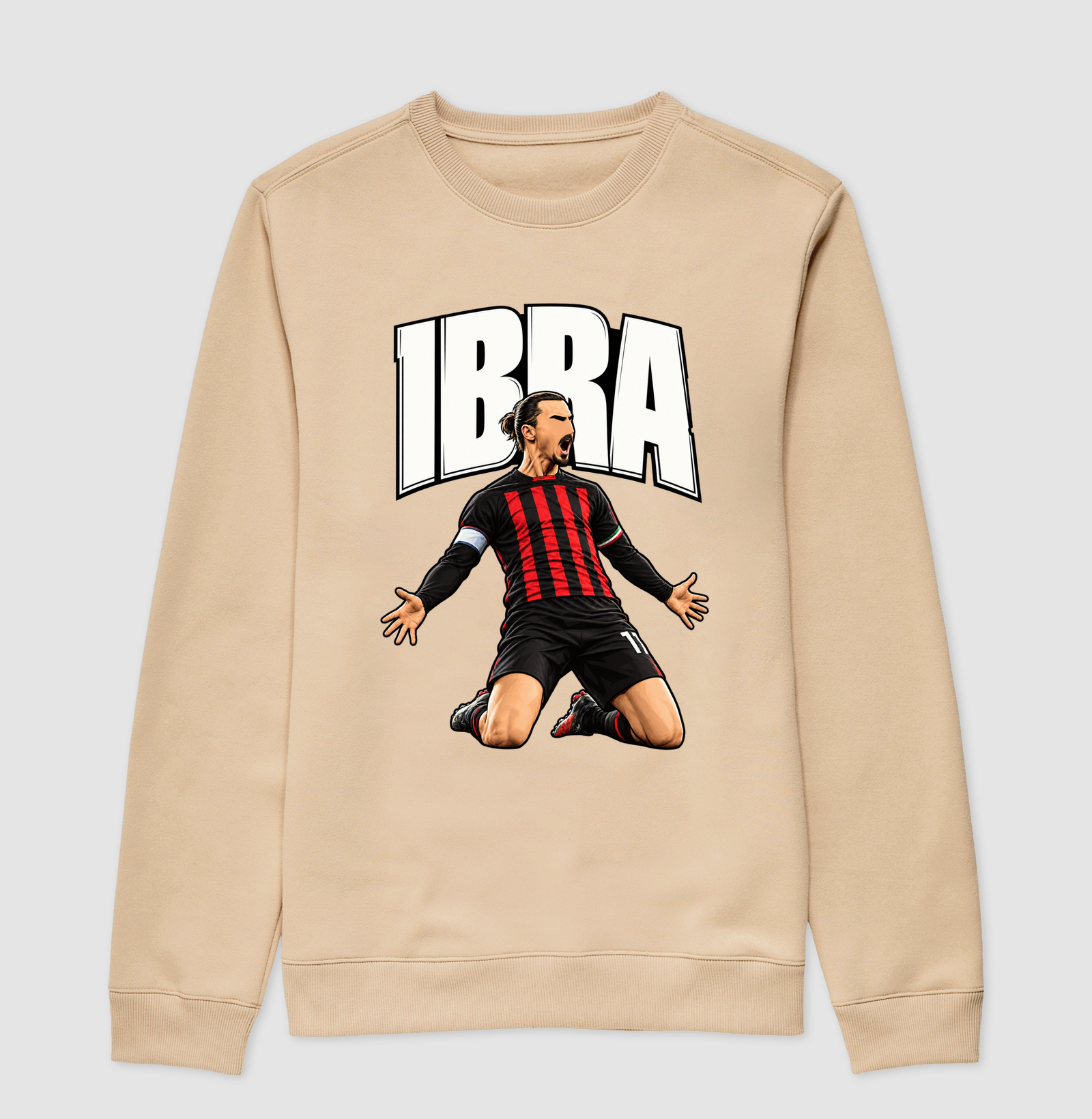 IBRA - Imagem 3