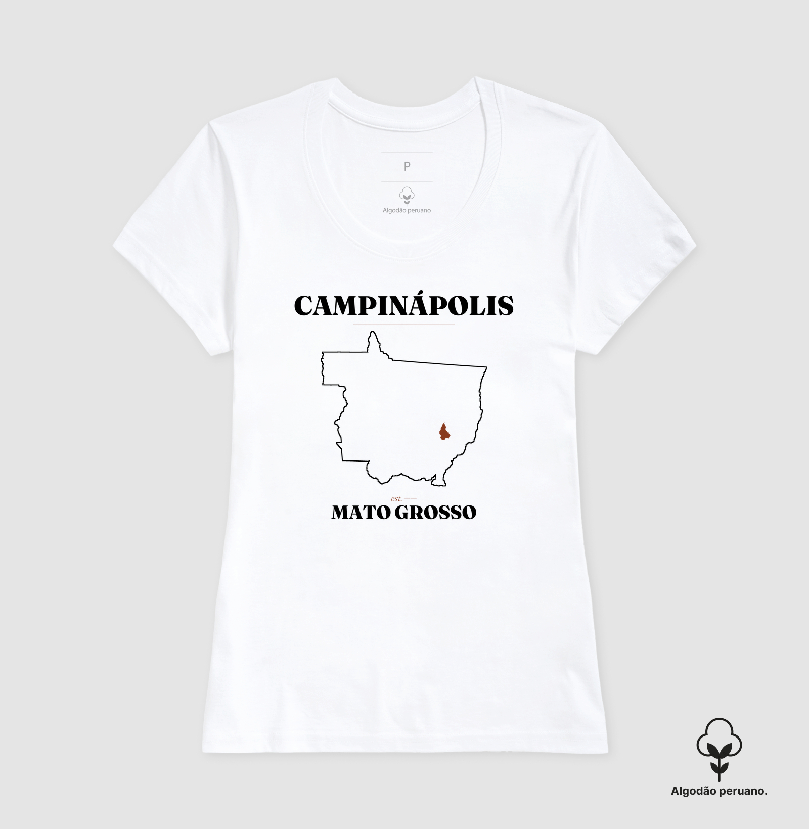 Campinápolis | Legado MT - Imagem 5