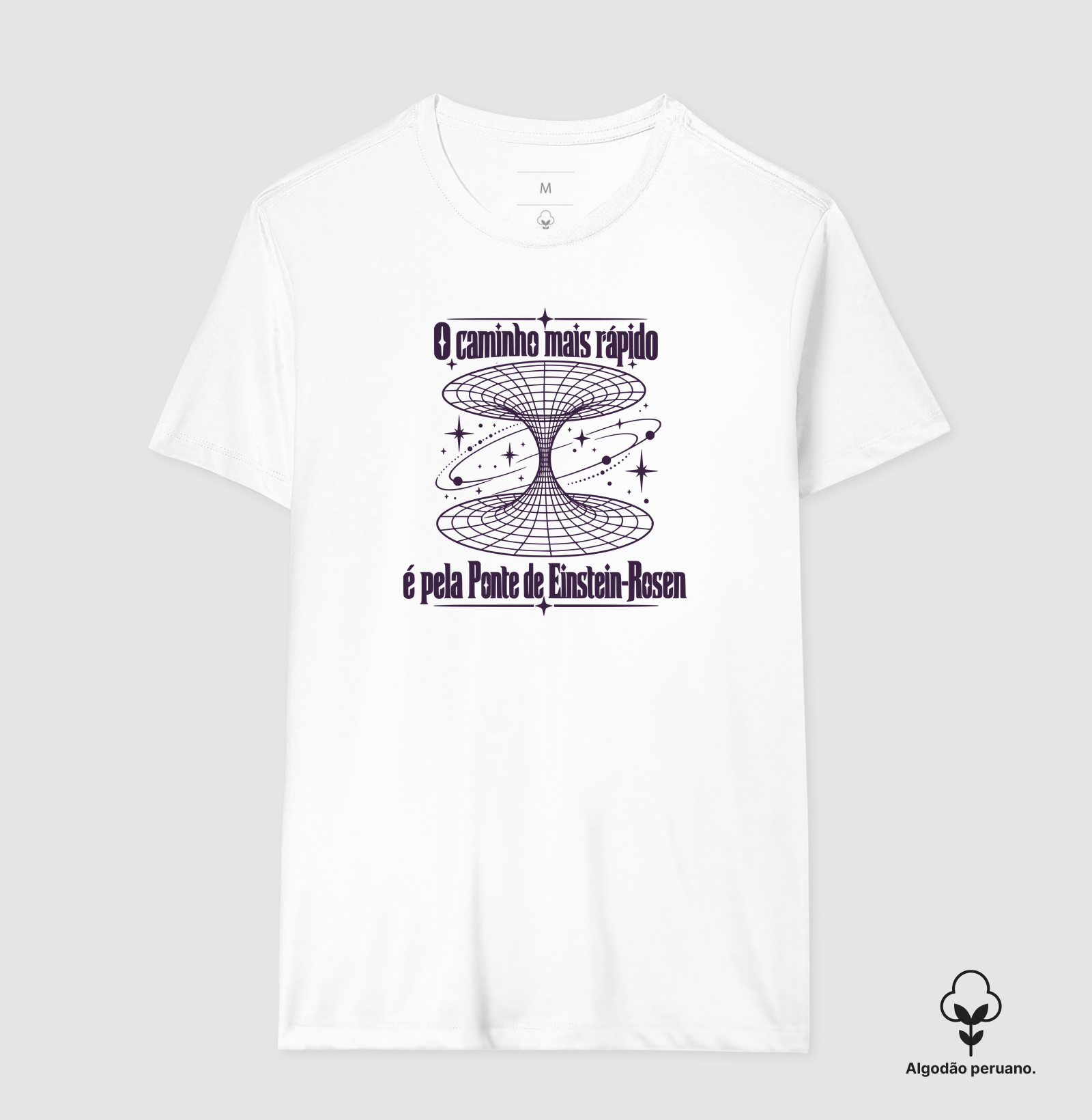 Ponte de Einstein-Rosen - Imagem 11