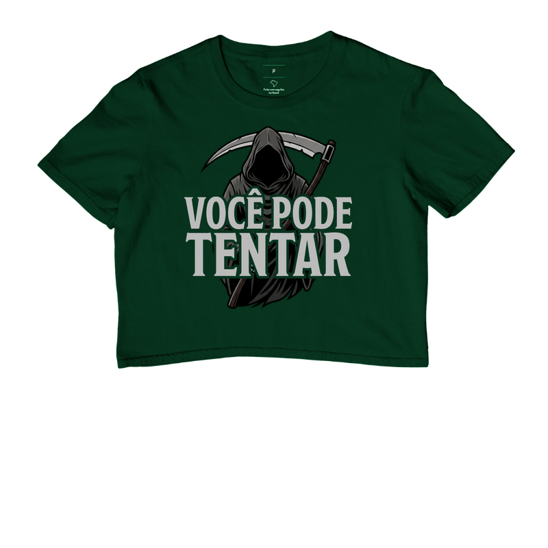 VOCÊ PODE TENTAR - Imagem 5