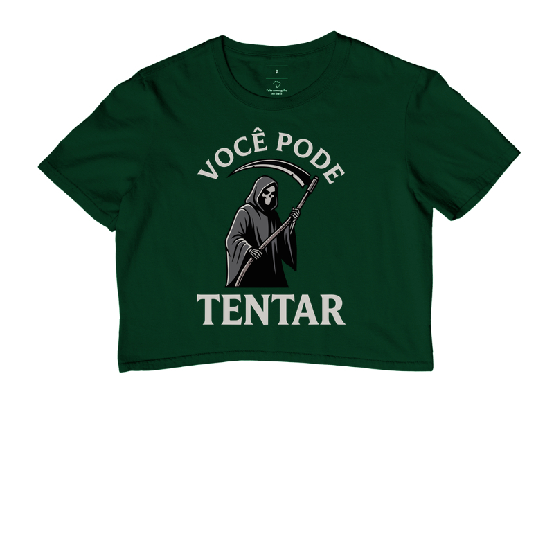 VOCÊ PODE TENTAR - Imagem 5