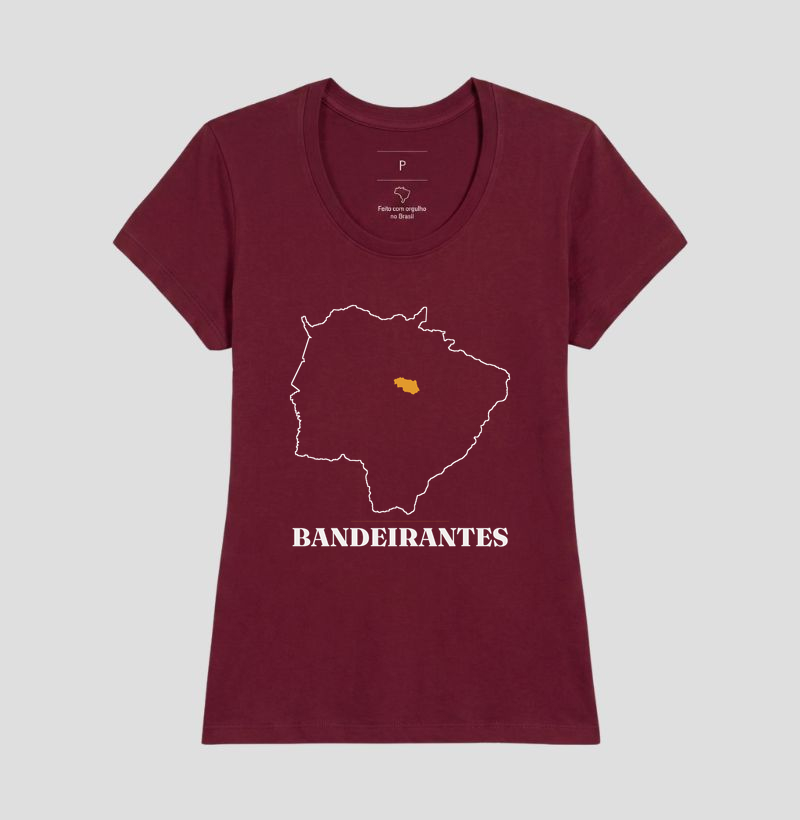 Bandeirantes | Traço MS - Imagem 19